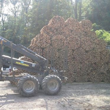 Aufgestapeltes Brennholz
