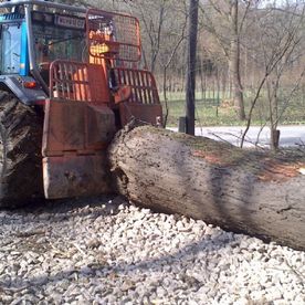 Maschine schneidet Baumstamm zu