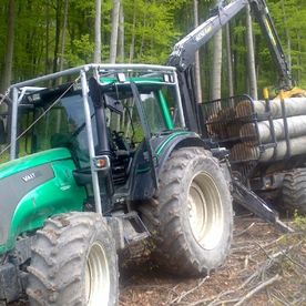 Abtransport von geschlagenen Baumstämmen