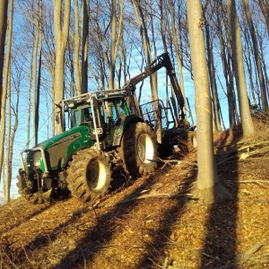 Traktor bei der Arbeit in einem Wald