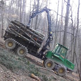 Grüner Traktor transportiert Baumstämme ab