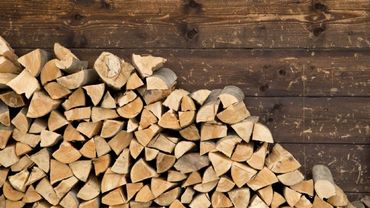 Gestapeltes Brennholz gegen eine Holzwand