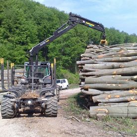 Lagerung von Baumstämmen am Feldrand