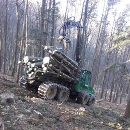 Forstfahrzeug mit gelagerten Baumstämmen