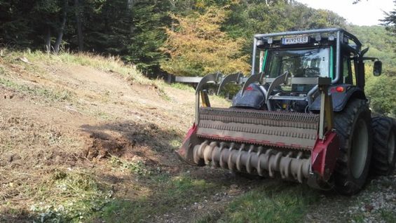 Traktor mit Rodungsmechanik auf einem Feldweg