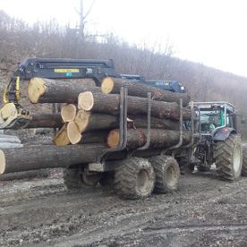 Forstwagen mit geladenen Baumstämmen