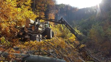 Forstfahrzeug bei der Arbeit in einem herbstlichen Wald 