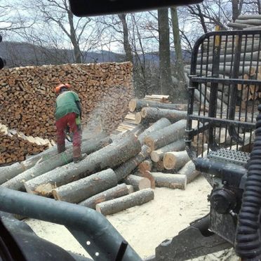 Ein Arbeiter bei der Zerteilung von Baumstämmen zu Brennholz