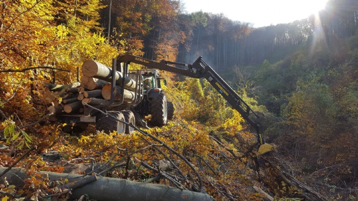 Forstfahrzeug bei der Arbeit in einem herbstlichen Wald 